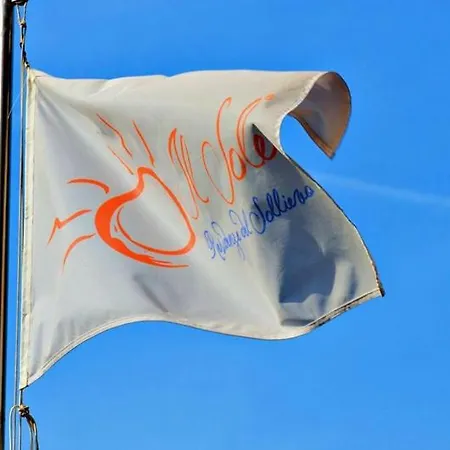 Sanitario Il Sollievo *